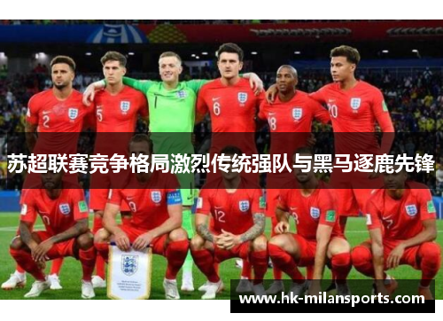 苏超联赛竞争格局激烈传统强队与黑马逐鹿先锋